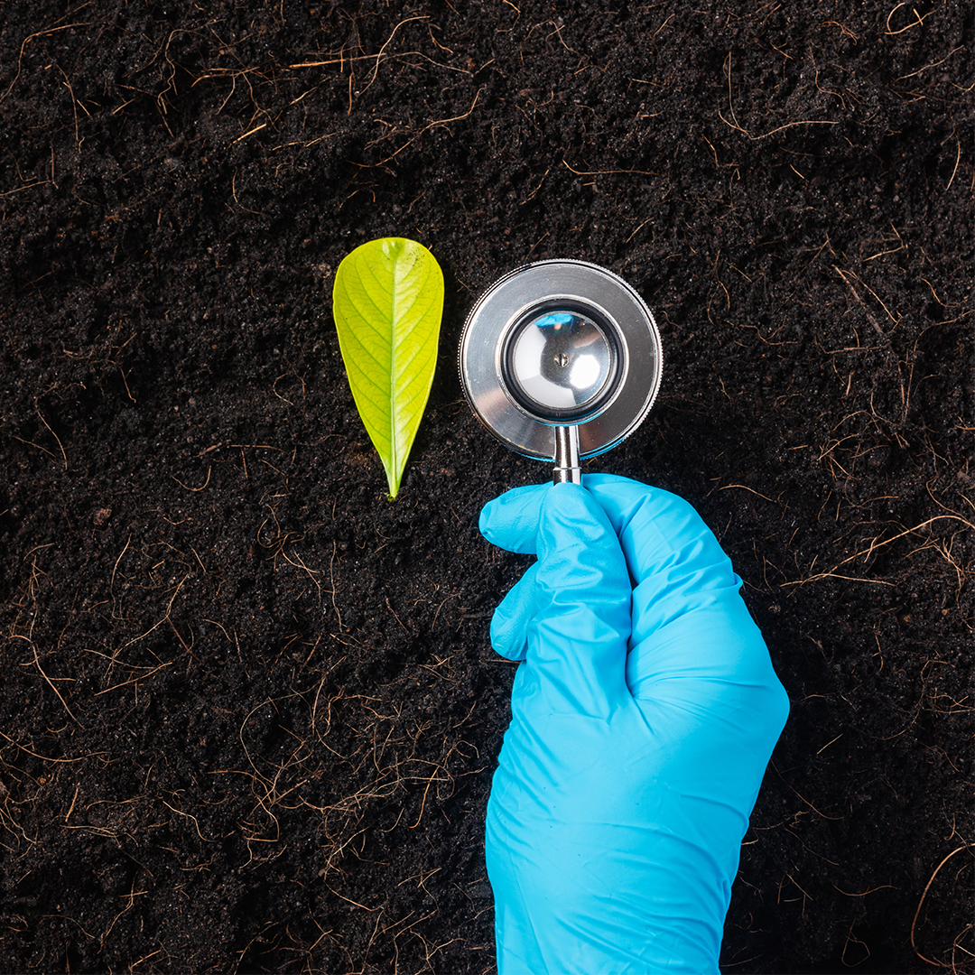 Hand holding stethoscope over soil next to leaf
