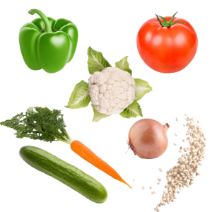 Green pepper, Tomato, Cauliflower, Carrot, Onion, Cucumber Navy Bean arranged to fit in a square.