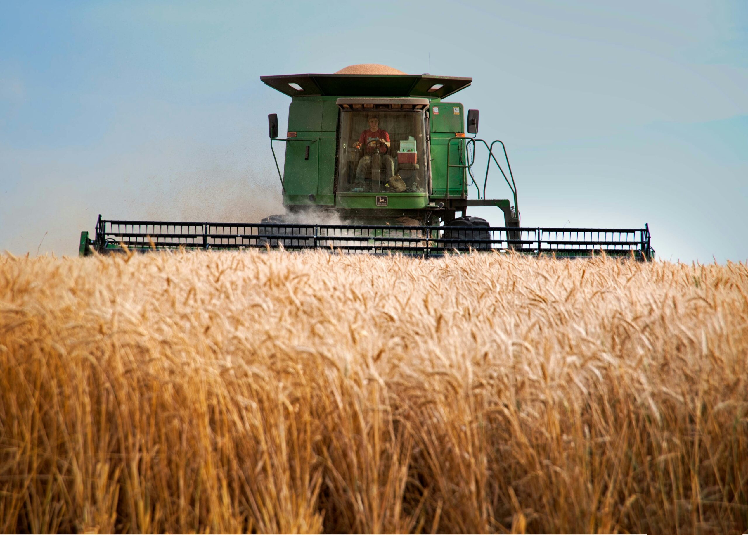 Rooted in Resilience: Planning Your 2026 Crop Strategy